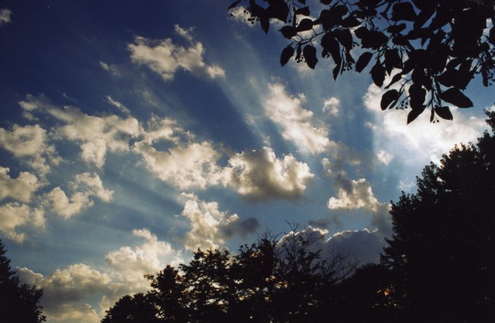 Sunray